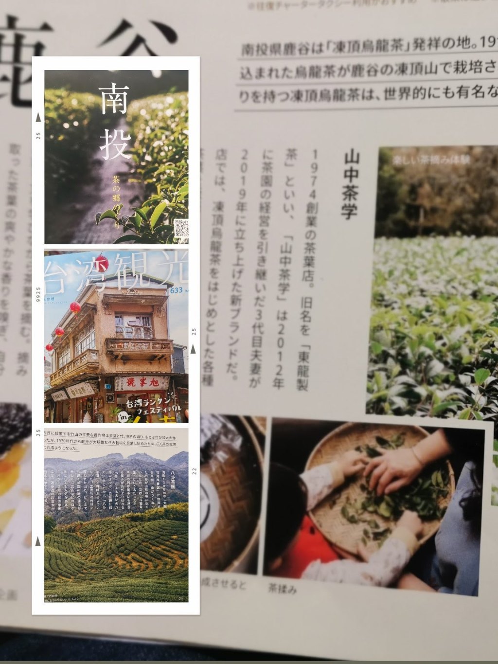 2024年3月29日　台湾茶巡り旅（募集終了）